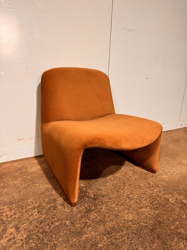 Display brown accent - display,